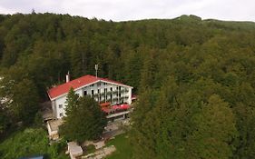 Great Mountain B&b