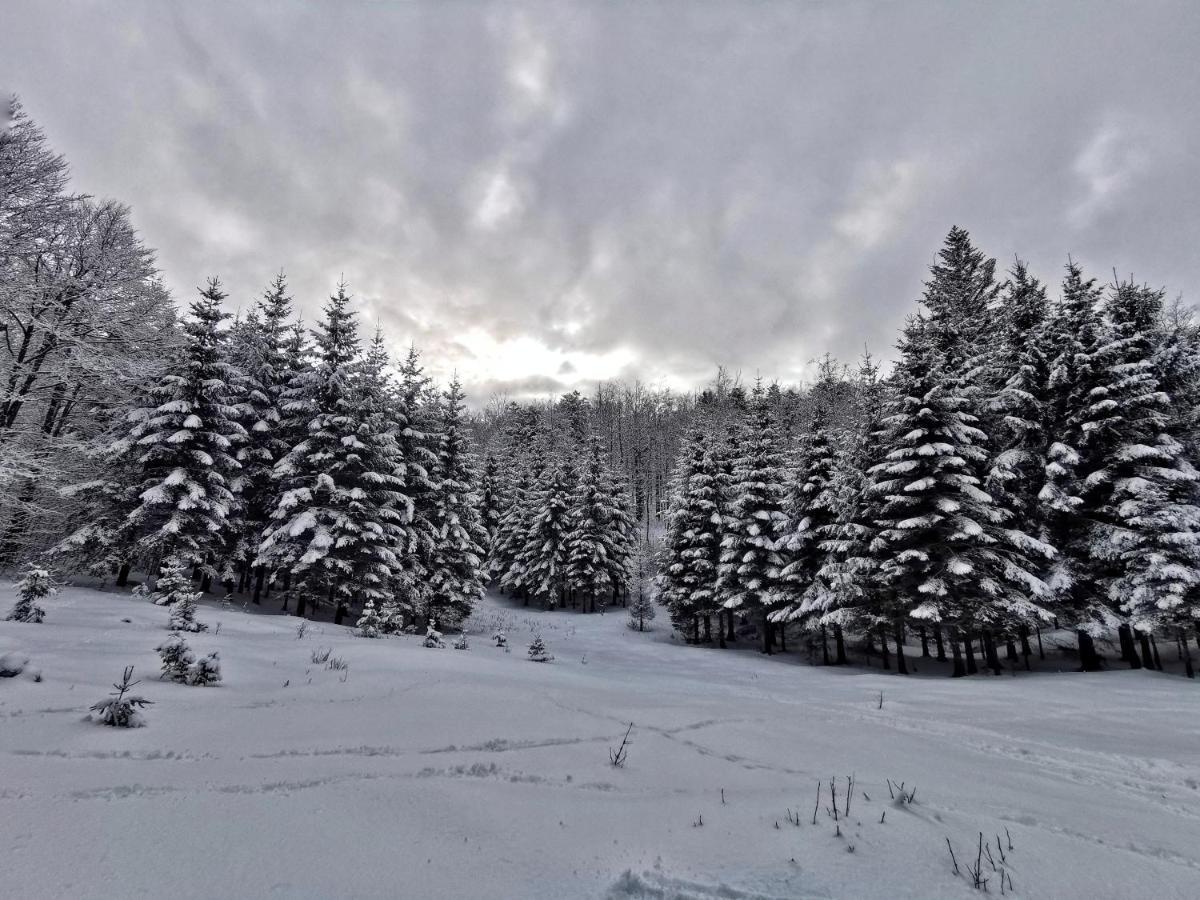 Great Mountain B&B Platak Exteriör bild