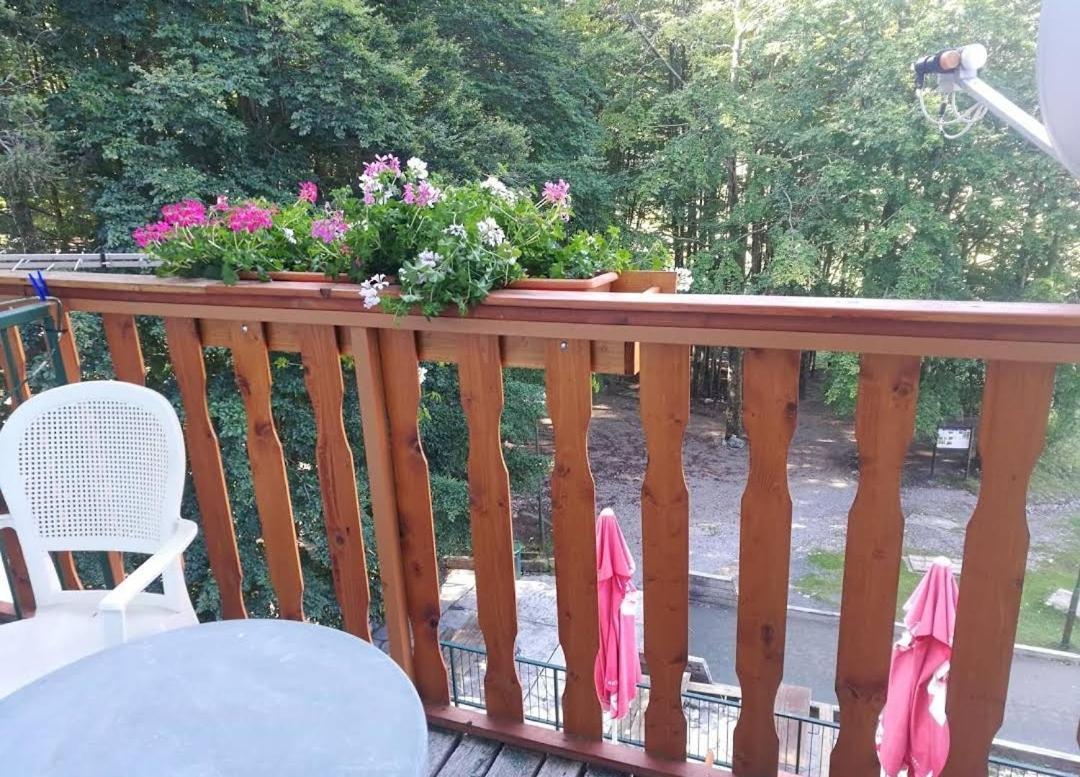 Great Mountain B&B Platak Exteriör bild