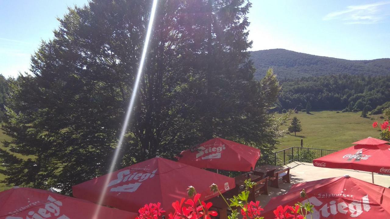 Great Mountain B&B Platak Exteriör bild