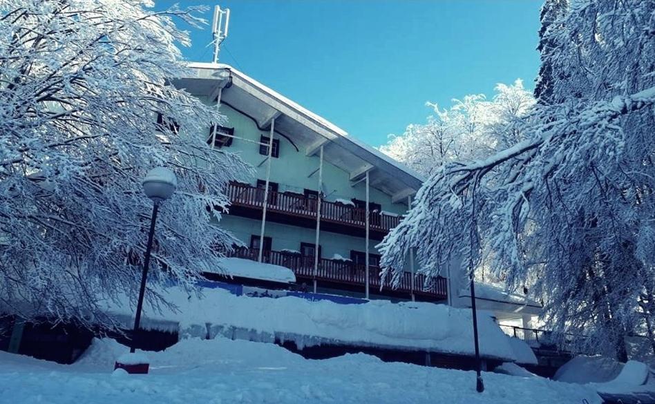 Great Mountain B&B Platak Exteriör bild